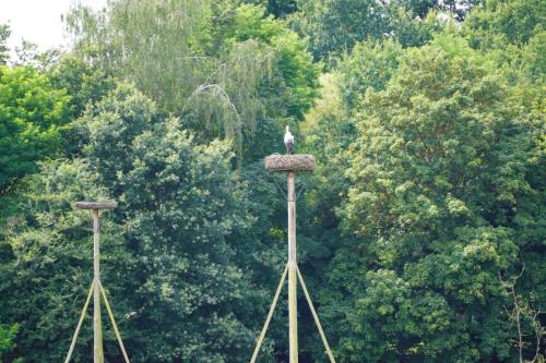 picknick 2024 (18)